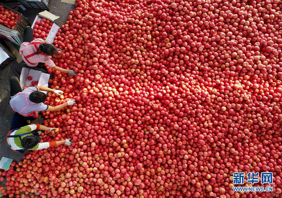 (新华全媒头条·图文互动)(9)谱写新时代改革新篇章——以习近平同志为核心的党中央全面深化改革启示录